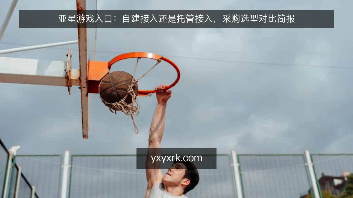 亚星游戏入口:自建接入还是托管接入,采购选型对比简报