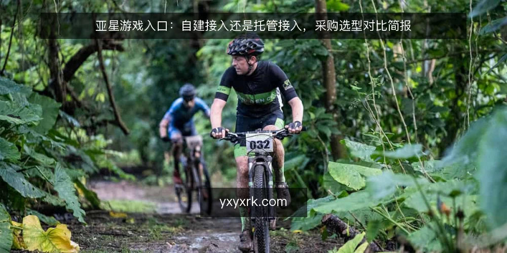 亚星游戏入口:自建接入还是托管接入,采购选型对比简报 — 先定义需求:这次接入要解决什么 配图