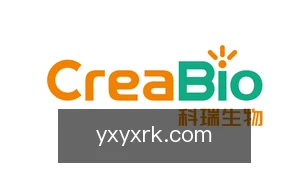 亚星游戏入口